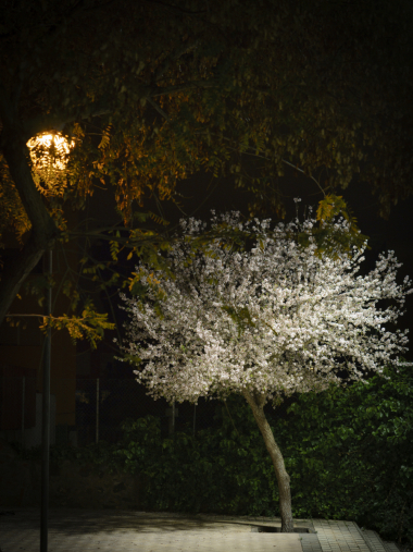 DSC01003