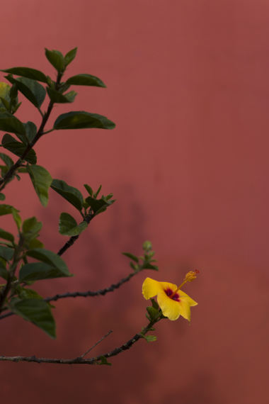 DSC09426