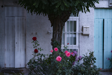 FE-55mm-F1.8-ZA7R306384