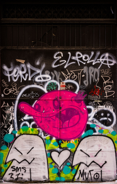 FE-55mm-F1.8-ZA-7R302376
