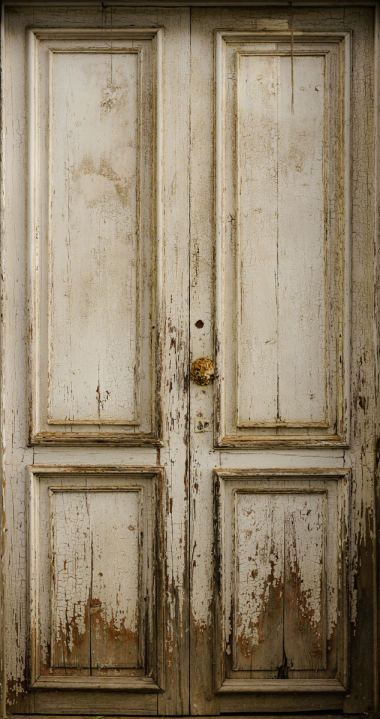 FE-55mm-F1.8-ZA7R307805