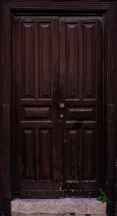 SAMYANG-AF-45mm-F1.87R304684