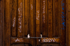 FE-16-35mm-F2.8-GM-7R302243