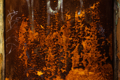 FE-16-35mm-F2.8-GM7R307433