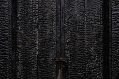 FE-16-35mm-F2.8-GM7R307706