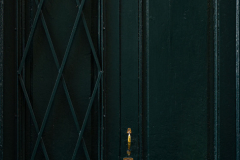 FE-55mm-F1.8-ZA-7R300739