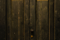 FE-55mm-F1.8-ZA-7R300761