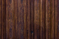 FE-55mm-F1.8-ZA-7R302031