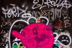 FE-55mm-F1.8-ZA-7R302376