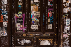 FE-55mm-F1.8-ZA-7R302385