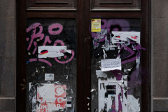 FE-55mm-F1.8-ZA7R306114