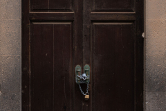 FE-55mm-F1.8-ZA7R306118