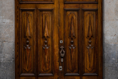 FE-55mm-F1.8-ZA7R306121