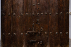 FE-55mm-F1.8-ZA7R306139