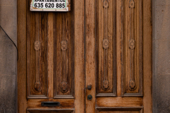 FE-55mm-F1.8-ZA7R306141