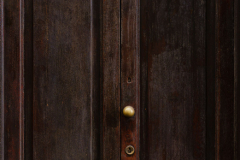 FE-55mm-F1.8-ZA7R307415