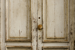 FE-55mm-F1.8-ZA7R307805