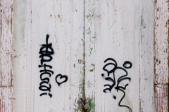 SAMYANG-AF-35mm-F1.87R307997