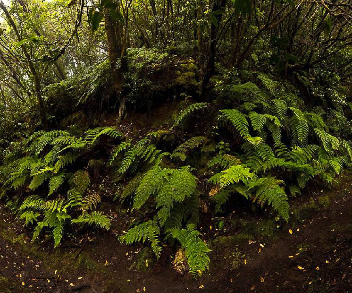 Taller de Panorámicas. Por M. Á. Roldán.