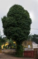 Iniciación a la fotografía por Miguel Ángel Roldán